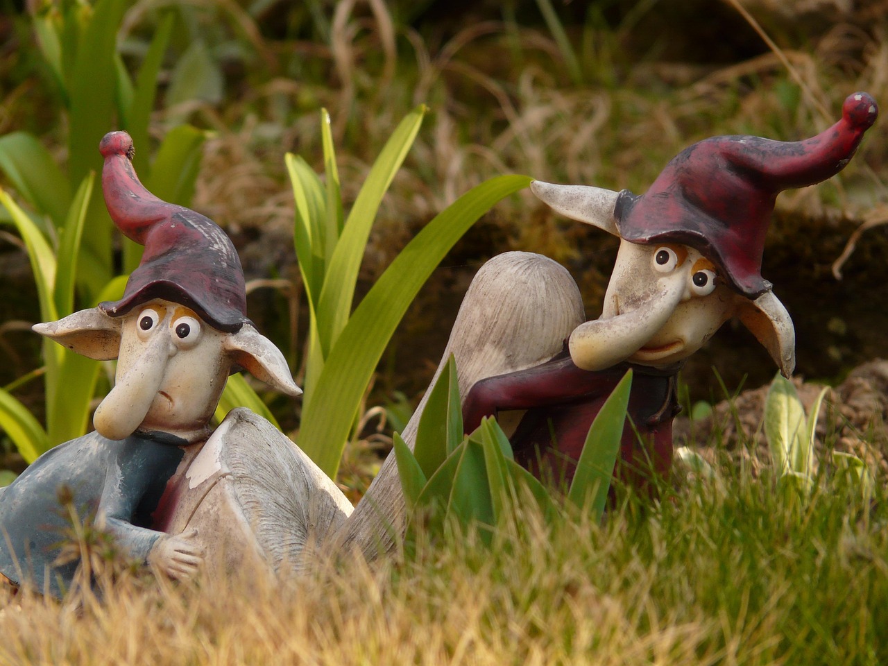 Perché il mio giardino non cresce? Ecco le soluzioni rapide